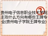 贵州电子信息职业技术学院主攻什么方向有哪些王牌专业(贵州电子学院王牌专业)
