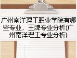 广州南洋理工职业学院有哪些专业，王牌专业分析(广州南洋理工专业分析)