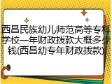 西昌民族幼儿师范高等专科学校一年财政拨款大概多少钱(西昌幼专年财政拨款)