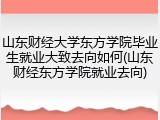 山东财经大学东方学院毕业生就业大致去向如何(山东财经东方学院就业去向)