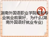 湖南外国语职业学院哪些专业就业前景好，为什么(湖南外国语好就业专业)