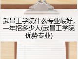 武昌工学院什么专业最好，一年招多少人(武昌工学院优势专业)