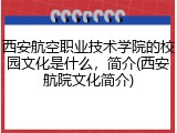 西安航空职业技术学院的校园文化是什么，简介(西安航院文化简介)