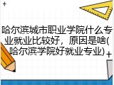 哈尔滨城市职业学院什么专业就业比较好，原因是啥(哈尔滨学院好就业专业)