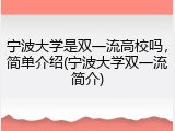 宁波大学是双一流高校吗，简单介绍(宁波大学双一流简介)