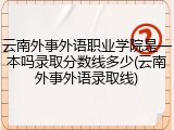 云南外事外语职业学院是一本吗录取分数线多少(云南外事外语录取线)