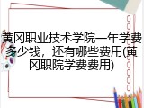 黄冈职业技术学院一年学费多少钱，还有哪些费用(黄冈职院学费费用)