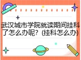 武汉城市学院就读期间挂科了怎么办呢？(挂科怎么办)