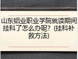 山东铝业职业学院就读期间挂科了怎么办呢？(挂科补救方法)