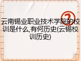 云南锡业职业技术学院的校训是什么,有何历史(云锡校训历史)
