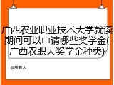 广西农业职业技术大学就读期间可以申请哪些奖学金(广西农职大奖学金种类)