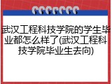 武汉工程科技学院的学生毕业都怎么样了(武汉工程科技学院毕业生去向)