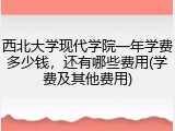 西北大学现代学院一年学费多少钱，还有哪些费用(学费及其他费用)