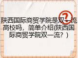 陕西国际商贸学院是双一流高校吗，简单介绍(陕西国际商贸学院双一流？)