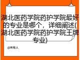湖北医药学院药护学院最好的专业是哪个，详细阐述(湖北医药学院药护学院王牌专业)
