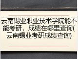 云南锡业职业技术学院能不能考研，成绩在哪里查询(云南锡业考研成绩查询)