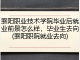 襄阳职业技术学院毕业后就业前景怎么样，毕业生去向(襄阳职院就业去向)