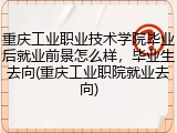 重庆工业职业技术学院毕业后就业前景怎么样，毕业生去向(重庆工业职院就业去向)