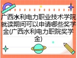 广西水利电力职业技术学院就读期间可以申请哪些奖学金(广西水利电力职院奖学金)