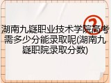 湖南九嶷职业技术学院高考需多少分能录取呢(湖南九嶷职院录取分数)