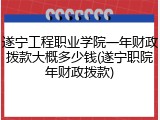 遂宁工程职业学院一年财政拨款大概多少钱(遂宁职院年财政拨款)