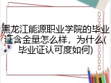 黑龙江能源职业学院的毕业证含金量怎么样，为什么(毕业证认可度如何)