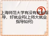 上海师范大学有没有就业指导，好就业吗(上师大就业指导如何)