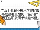 广西工业职业技术学院的图书馆藏书量如何，简介(广西工业职院图书馆藏书量)