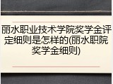 丽水职业技术学院奖学金评定细则是怎样的(丽水职院奖学金细则)