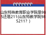 山东特殊教育职业学院是985还是211(山东特教学院985211？)