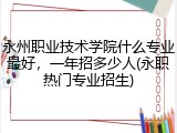 永州职业技术学院什么专业最好，一年招多少人(永职热门专业招生)
