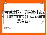 上海城建职业学院读什么专业比较有前景(上海城建前景专业)