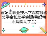 曹妃甸职业技术学院有哪些奖学金和助学金呢(曹妃甸职院奖助学金)