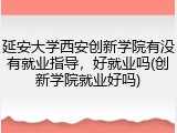 延安大学西安创新学院有没有就业指导，好就业吗(创新学院就业好吗)