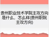 贵州职业技术学院主攻方向是什么，怎么样(贵州职院主攻方向)
