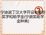宁波诺丁汉大学开设有哪些奖学和助学金(宁诺奖助学金种类)