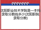 沈阳职业技术学院是一本吗录取分数线多少(沈阳职院录取分数)