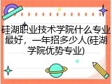 硅湖职业技术学院什么专业最好，一年招多少人(硅湖学院优势专业)