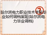 哈尔滨电力职业技术学院毕业如何调档案呢(哈尔滨电力毕业调档)