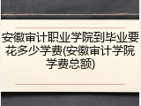 安徽审计职业学院到毕业要花多少学费(安徽审计学院学费总额)