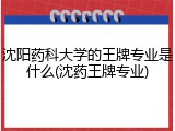 沈阳药科大学的王牌专业是什么(沈药王牌专业)