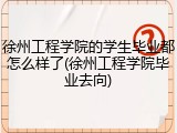 徐州工程学院的学生毕业都怎么样了(徐州工程学院毕业去向)