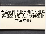 大连软件职业学院的专业设置概况介绍(大连软件职业学院专业)