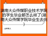 湖南大众传媒职业技术学院的学生毕业都怎么样了(湖南大众传媒学院毕业生去向)