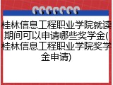 桂林信息工程职业学院就读期间可以申请哪些奖学金(桂林信息工程职业学院奖学金申请)