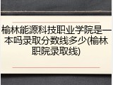 榆林能源科技职业学院是一本吗录取分数线多少(榆林职院录取线)