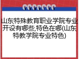 山东特殊教育职业学院专业开设有哪些,特色在哪(山东特教学院专业特色)