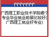 广西理工职业技术学院哪个专业毕业就业前景比较好(广西理工就业好专业)