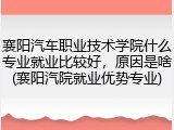 襄阳汽车职业技术学院什么专业就业比较好，原因是啥(襄阳汽院就业优势专业)