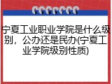 宁夏工业职业学院是什么级别，公办还是民办(宁夏工业学院级别性质)